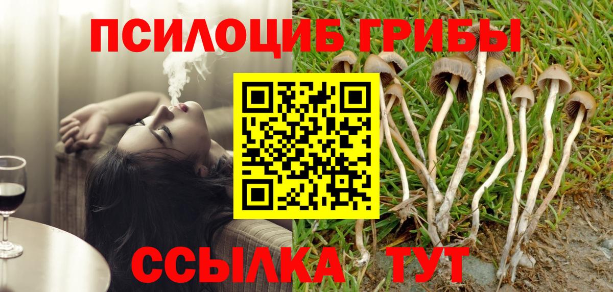 магазин  наркотиков  Псилоцибиновые грибы Psilocybine cubensis  Вход с VPN  Североуральск  Псилоцибиновые грибы GOLDEN TEACHER 